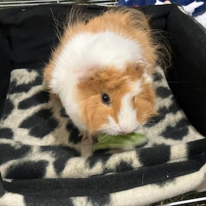 Timothea added a photo of their purchase