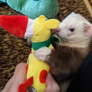 Christina ha añadido una foto de su compra