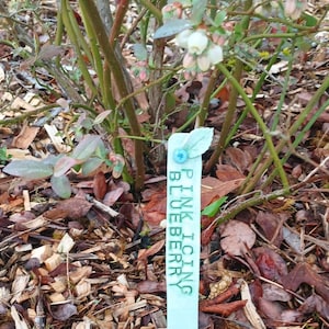 PolyClayTango added a photo of their purchase