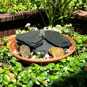 Robert added a photo of their purchase