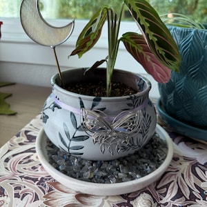 Lydia added a photo of their purchase