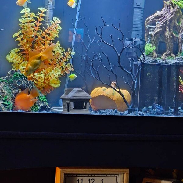 Lifegard Aquatics Ohko Dragon Stone Rock - 20 Lbs Mixed Size Box For Aquascaping