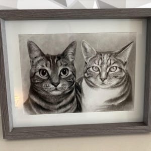 Tammy heeft een foto van zijn/haar aankoop toegevoegd