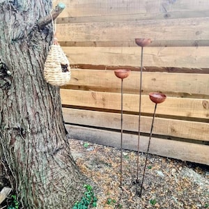 Janice added a photo of their purchase