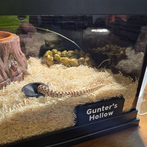 Kim added a photo of their purchase