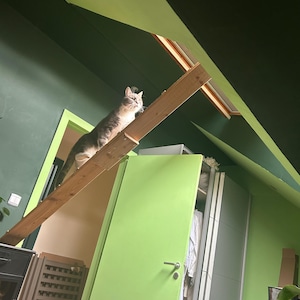 Maureen ha aggiunto una foto del proprio acquisto