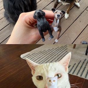 Cortney added a photo of their purchase