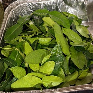 Fatoumata さんが購入した商品の写真を追加しました