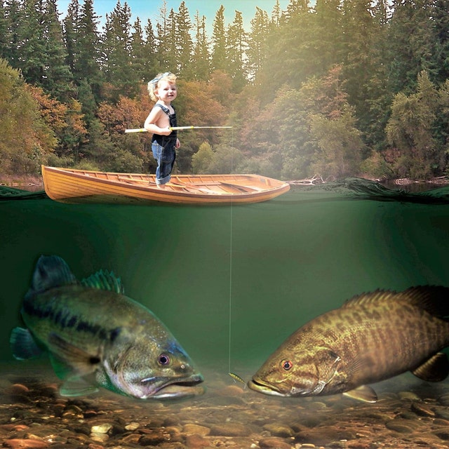 Background Bass Fishing Wallpaper