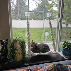 Jolene added a photo of their purchase