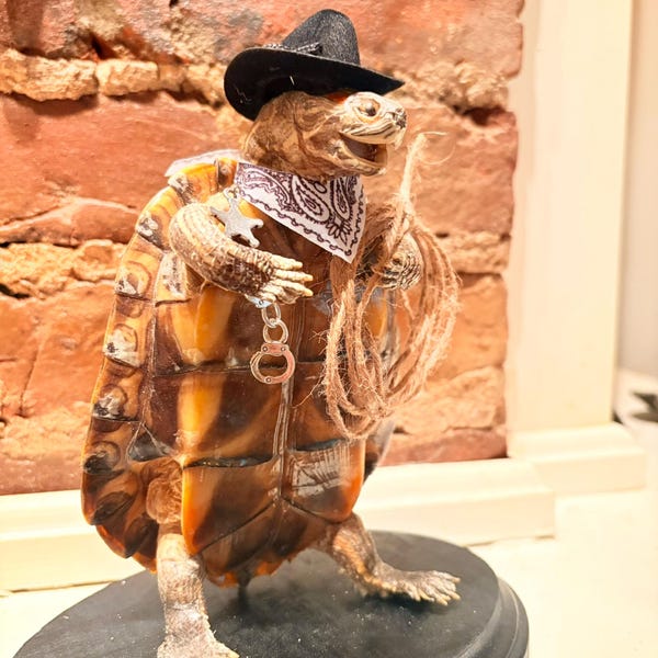 Rabbit Bunny Clown Mummified Skeleton Specimen Wet Dried Preserved ...