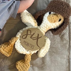 Whimsy added a photo of their purchase