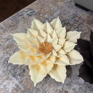 Linda added a photo of their purchase