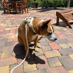 Christy added a photo of their purchase
