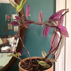 Michelle added a photo of their purchase