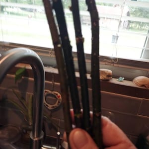 Shelley added a photo of their purchase