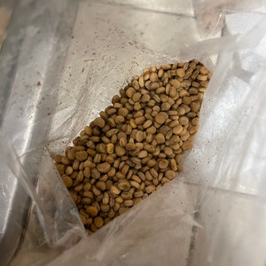 American Wild Ginseng - Guan Sang Co Pte Ltd