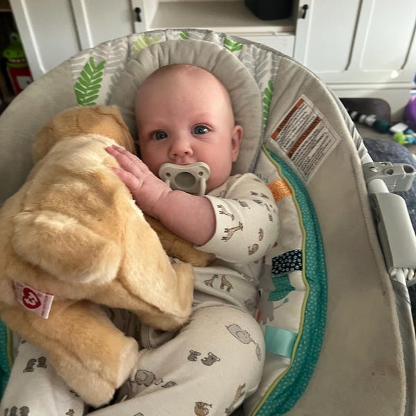 Vintage Springy the Bunny Beanie Baby, Springy the Rabbit, Springy the ...