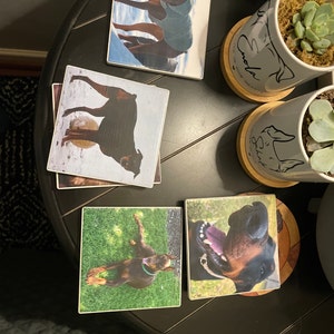 Lisa added a photo of their purchase
