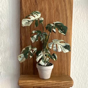 Alethia added a photo of their purchase
