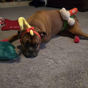 Jennifer added a photo of their purchase