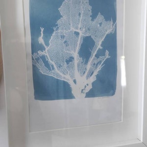 Alexandra added a photo of their purchase