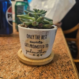 Ami adicionaram uma foto da sua compra