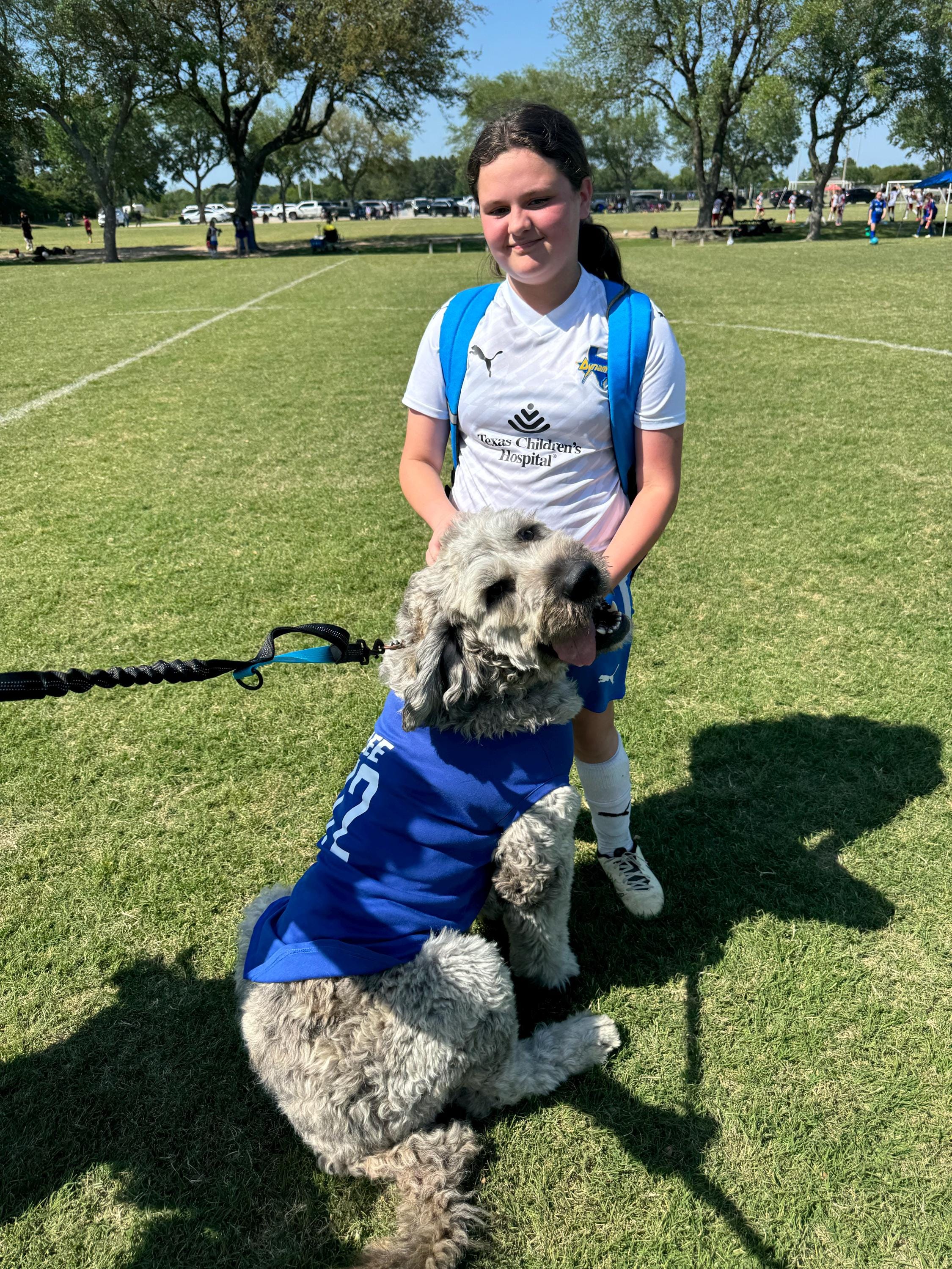 Custom Sports Dog Jersey - Personalized Dog Shirt with Name & Number - Team Dog Shirt, Football, Basketball, Soccer Fan Gift, Pet Jersey