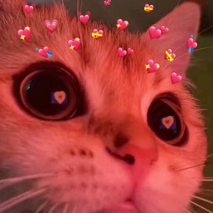 Nilla ha añadido una foto de su compra
