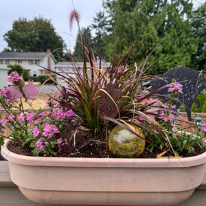 Elaine added a photo of their purchase