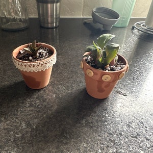 Stephanie added a photo of their purchase