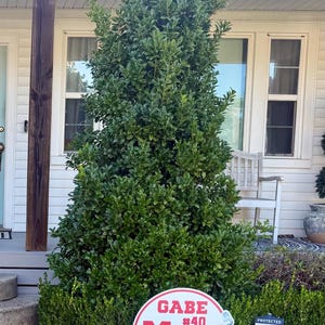 Melissa added a photo of their purchase