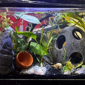 Bee added a photo of their purchase