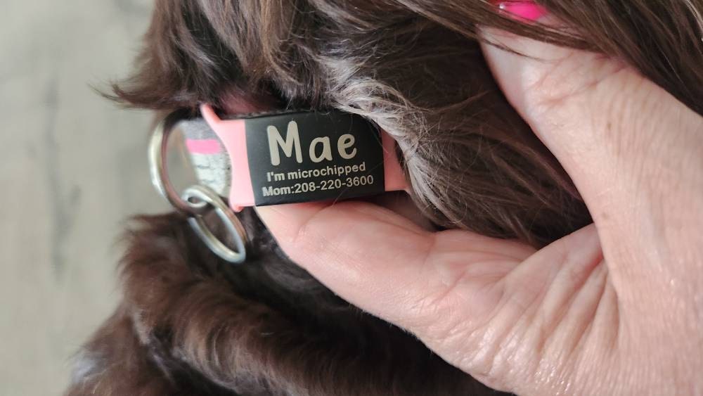 Custom Durable Slide Pet ID Tag🐶🐱,Personalized Name Silicone Dog Tag, Gift for Dog Owner