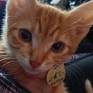 Coda added a photo of their purchase