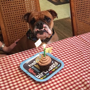 kellysm88 added a photo of their purchase