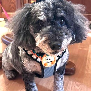 Sharon added a photo of their purchase
