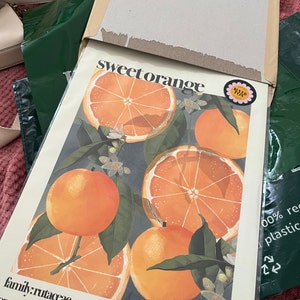 Sweet Orange Print: Botanical Still Life Wall Art - Etsy