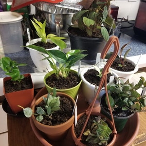 Jennifer ha aggiunto una foto del proprio acquisto