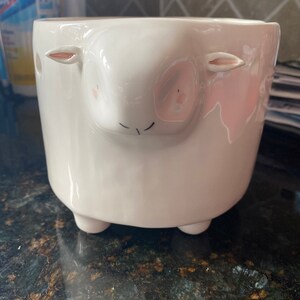 Nora added a photo of their purchase