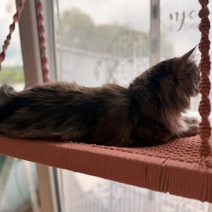 Katja added a photo of their purchase