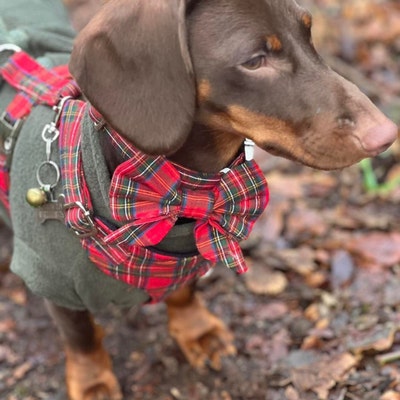 Pet Necktie Tutorial and Patterns / Dog Neck Tie for Wedding / - Etsy