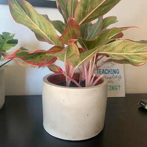 Heather added a photo of their purchase