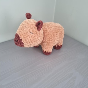 Agnes a ajouté une photo de son achat
