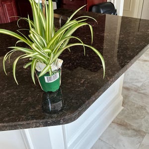 Carolyn added a photo of their purchase