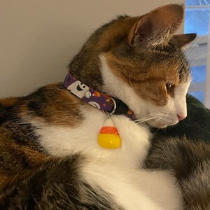 R added a photo of their purchase