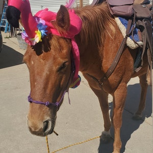 Sun Hats for Horses in several colors 