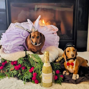Tammara added a photo of their purchase