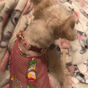 Cheryl added a photo of their purchase