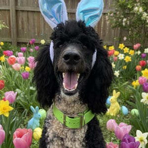 Christine hat ein Foto des gekauften Artikels hinzugefügt